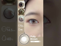 ポリー+ホリー、茶色、灰色、青色